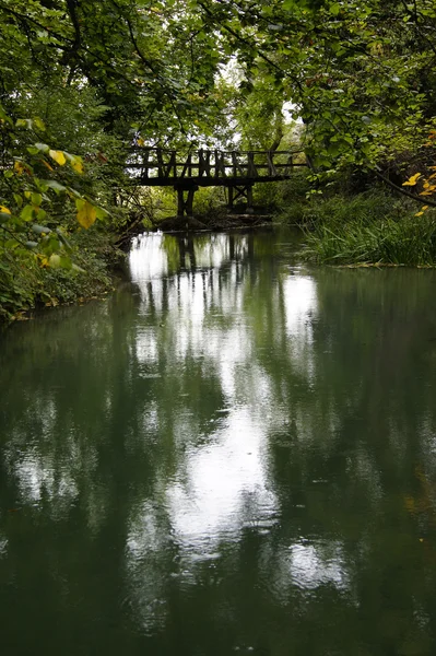 stock image Reflections