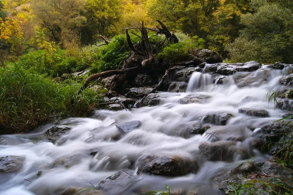 Autumn flow — Stock Photo, Image