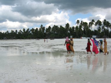 zanzibar için yolculuk