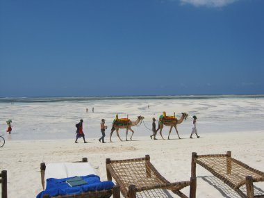 zanzibar için yolculuk