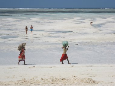 zanzibar için yolculuk