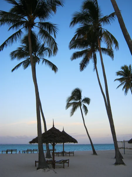 Zanzibar resot sea — Stock Photo, Image