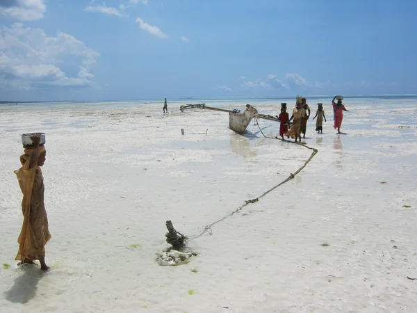Zanzibar için yolculuk - Stok İmaj