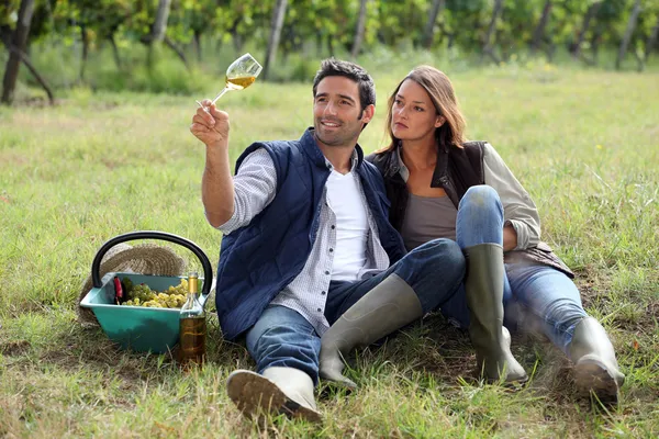 Paar trinkt Wein in einem Weinberg — Stockfoto