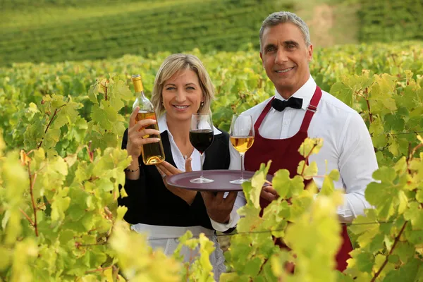 Waitress and sommelier in vineyards — Stock Photo, Image