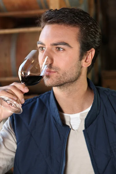 Mann, der Wein riecht — Stockfoto