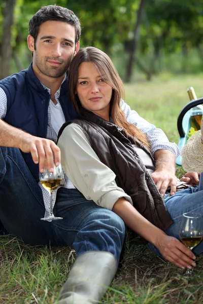 Пара выпивает бутылку вина в поле — стоковое фото