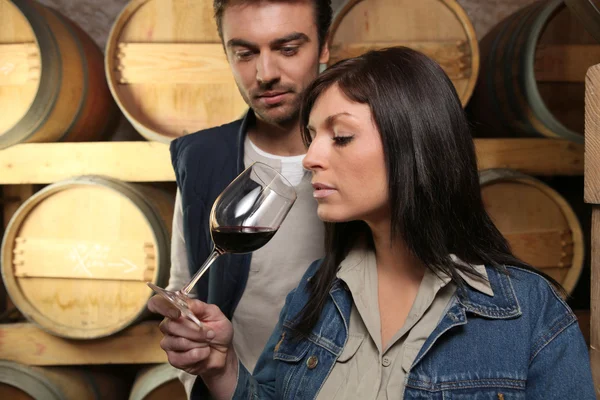 Виноградари дегустируют вино — стоковое фото