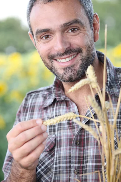 Primo piano di un uomo sorridente in un campo di grano — Foto Stock