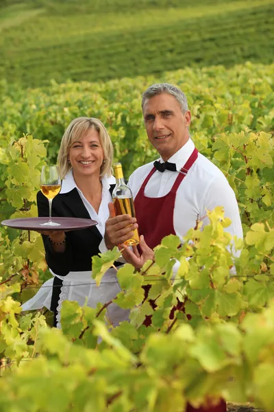Muž a žena sloužící bílé víno na vinici — Stock fotografie
