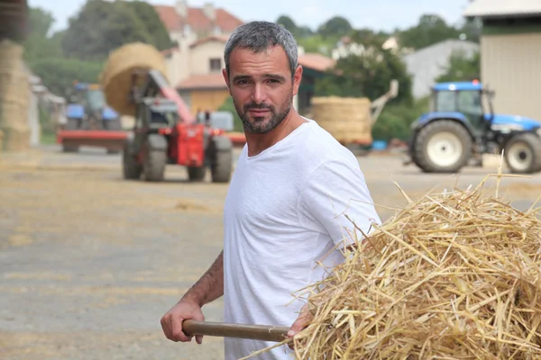Un contadino che prende paglia con una forchetta — Foto Stock