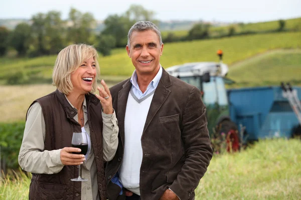 Vinproducenter skratta på vinrankorna — Stockfoto