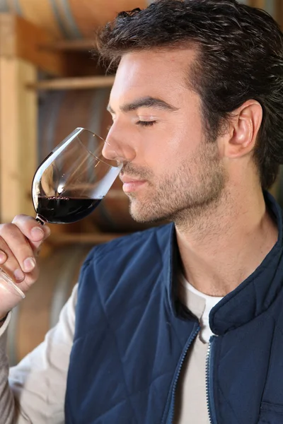 Мужчина, нюхающий ароматы красного вина — стоковое фото