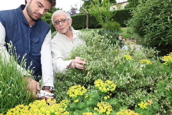 Молодой человек садоводство с пожилой женщиной — стоковое фото