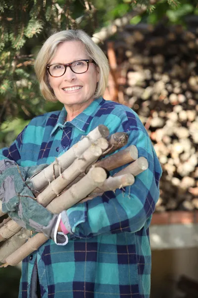 Женщина собирает дрова в лесу — стоковое фото