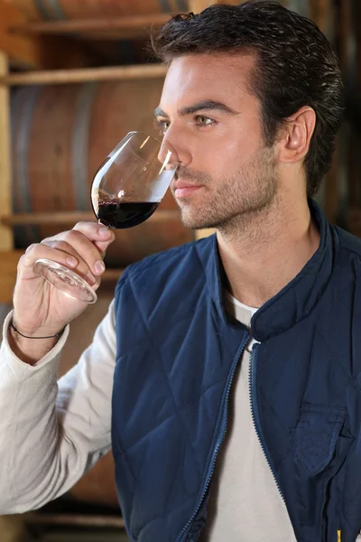 Człowiek degustacja wina w winiarni — Zdjęcie stockowe