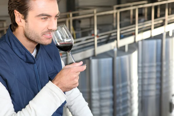 Homem a cheirar o seu próprio vinho — Fotografia de Stock