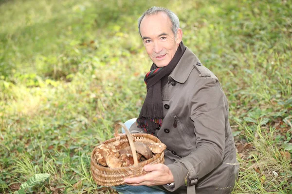 Homem sênior colhendo cogumelos — Fotografia de Stock
