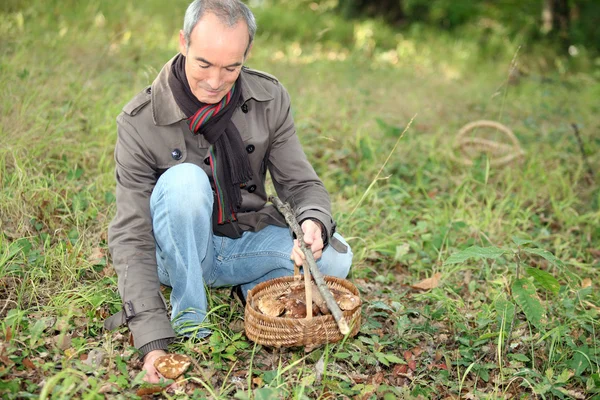 버섯을 수집 하는 노인 — 스톡 사진