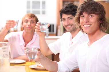 A bunch of friends toasting. clipart