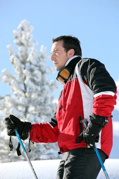 Skier looking at landscapes — Stock Photo, Image
