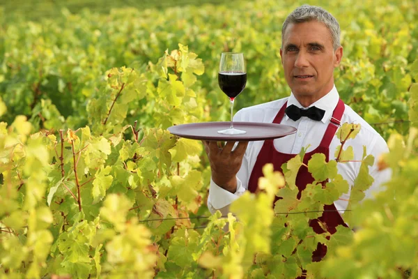 Waiter in field with glass of wine — Stock Photo, Image