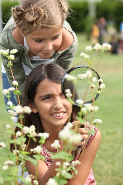 Little girls observing flowers through magnifying glass — Stock Photo, Image