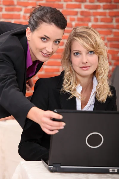 Vrouwelijke ondernemers op laptop — Stockfoto