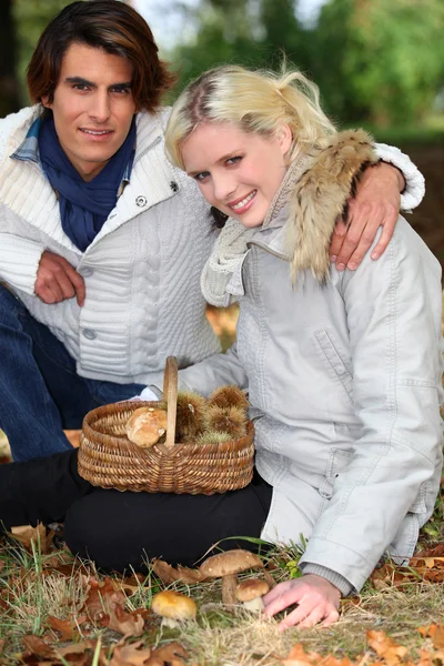 Casal reunindo cogumelos em cesta — Fotografia de Stock