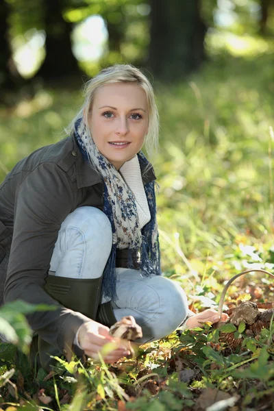 여자는 숲에서 버섯을 따기 — 스톡 사진