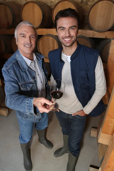 Smiling winegrowers in cellar — Stock Photo, Image