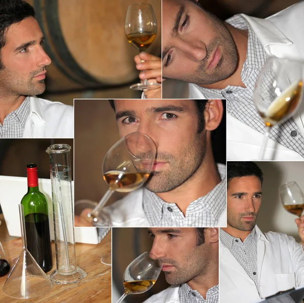 Wine expert — Stock Photo, Image