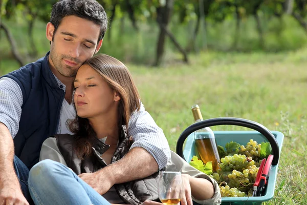 Couple sat by basket full of grapes — Stock Photo, Image
