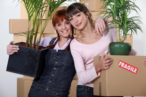 Två flickvänner flyttar i deras nya lägenhet — Stockfoto