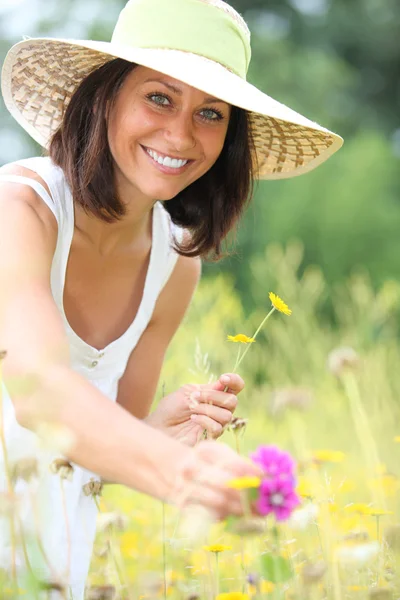 Woman picking flowers in field — Stock Photo, Image