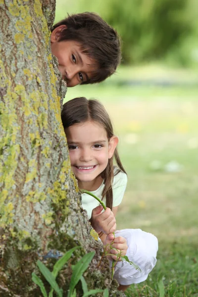 2 つの小さな子供たちは木の後ろに隠れています。 — ストック写真