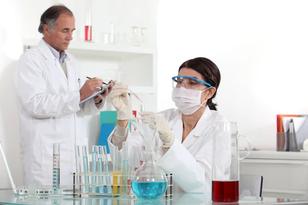 Двоє вчених працюють в лабораторії — стокове фото