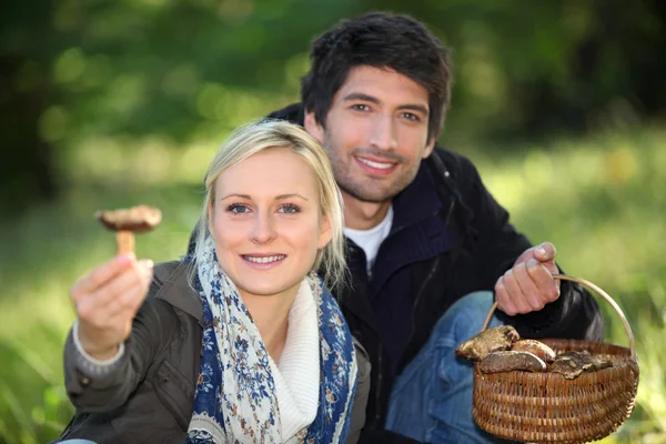Couple picking mushrooms in a forest — Stock Photo, Image