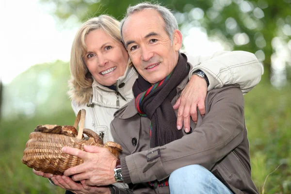 Ehepaar sammelt Pilze im Wald — Stockfoto