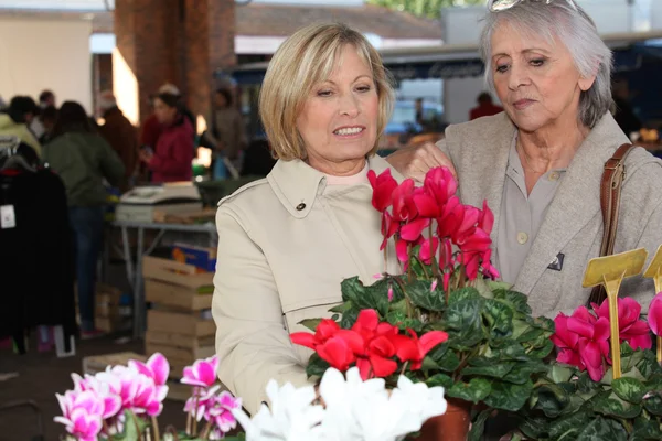 Женщины смотрят на растения на рынке — стоковое фото