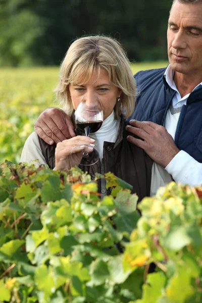 Couple tasting red wine — Stock Photo, Image
