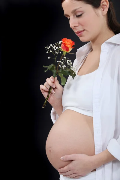Une femme enceinte tenant une rose . — Photo