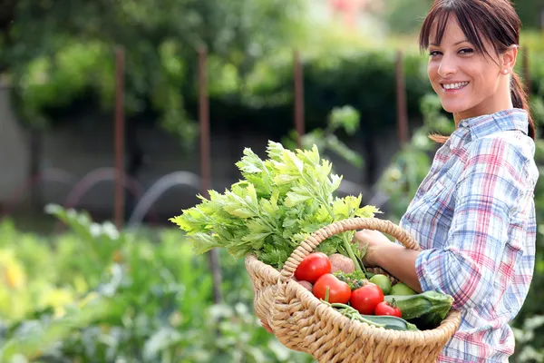 Woman in her vegetable garden — Stock Photo, Image