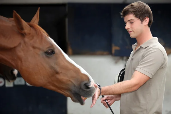 A fiatalember cuddling egy ló — Stock Fotó