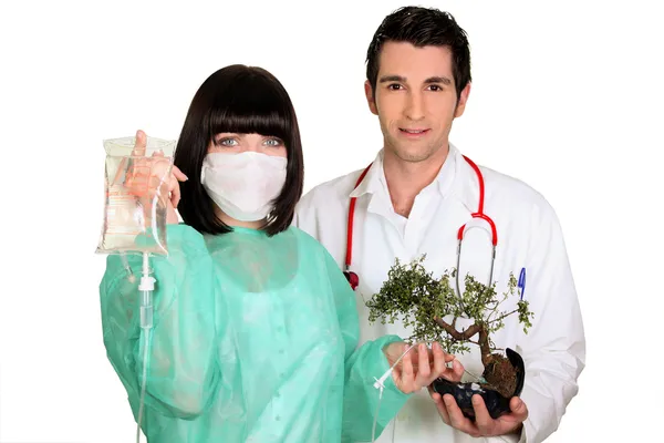 Équipe médicale attachant une goutte à goutte à un bonsaï — Photo