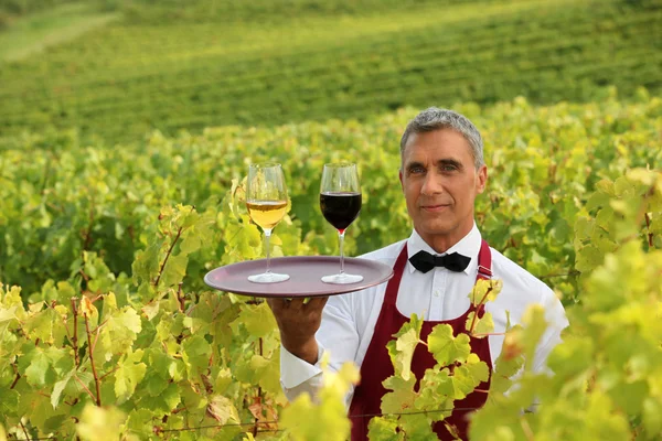 Waiter with glasses of wine on a tray in a vineyard — Stock Photo, Image