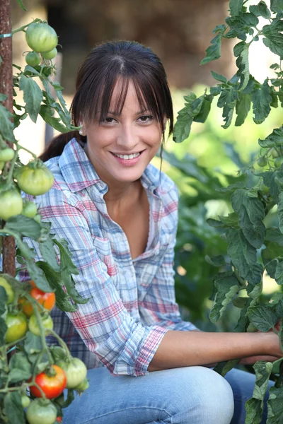 Девушка рядом с помидорами — стоковое фото