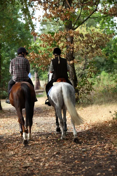 Una coppia a cavallo . — Foto Stock