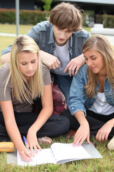 Трое студентов работают вместе в парке — стоковое фото