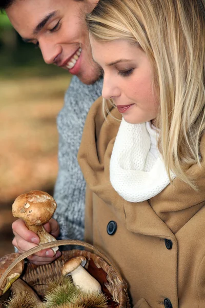 Jovem casal reunindo cogumelos selvagens — Fotografia de Stock